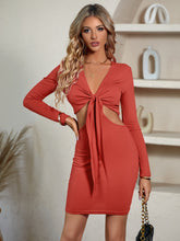 Load image into Gallery viewer, Cutout Twisted Front Plunge Neck Mini Dress
